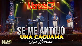 Se Me Antojó Una Caguama  Marcos Jr  Live Session [upl. by Tnayrb]