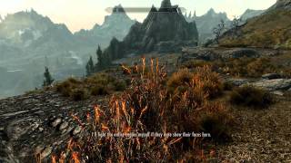 Elder Scrolls V Skyrim Walkthrough in 1080p Part 85 Choppin Up Imperial Meat PC Gameplay [upl. by Ahsilahs642]