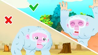 Educational episode  Protect the forests  Superzoo [upl. by Tomaso]