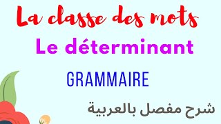 Français  grammaire La classe des mots  les déterminants [upl. by Edie]