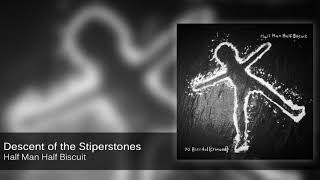 Half Man Half Biscuit  Descent of the Stiperstones Official Audio [upl. by Tabina]