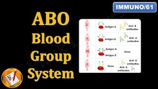 ABO Blood Group System FLImmuno61 [upl. by Barnard]