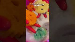 PineSol RinseScrub Sponges 🎨🌲 asmrwithmws 🤤🤤🤤 [upl. by Azeel]