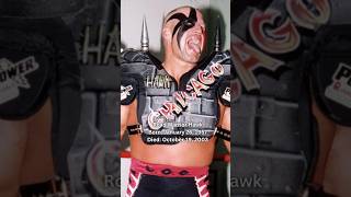 Road Warrior Hawk Was A Great Tag Team Wrestler🕊️roadwarrior wwe fy shorts wrestling tribute [upl. by Jedidiah]