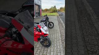 Panigale V4 vs Iron 1200 [upl. by Martella]