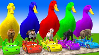 5 Giant Duck CartoonCowElephantGiraffeTigerLion Paint Wild Animals Crossing Fountain Animation [upl. by Onfre]