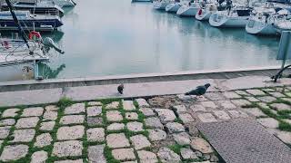 مدينة لاغوشال حلوة 🚢🌊🎈🎈🎁🎀 LA ROCHELLE CITY [upl. by Aicilak]