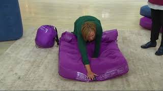 Aerobed Overnighter 8quot Twin Size Airbed with Pump on QVC [upl. by Irmo]