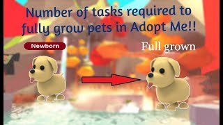 How many tasks to make pet fully grown in Adopt Me [upl. by Rebe192]