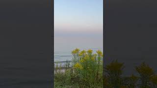 East Point Beach like share subscribe [upl. by Kurman65]