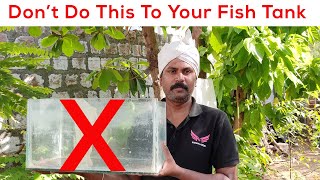 Top 5 Mistakes on setting up a Fish tank  Dont do this to your fish tank [upl. by Nairret]