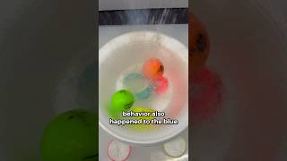 What happens to golf balls in liquid nitrogen ⛳️🧪🥶 [upl. by Nodla]