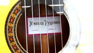 Гитара Николая Руденко Mykola Roodenko guitar Demo video 2012 [upl. by Lebasiram]