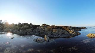 2408 Kennebunkport tidal pools [upl. by Eitsyrk]