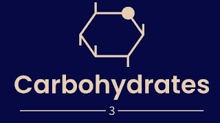 Biochemistry 14 Carbohydrates3 Polysaccharides biochemistry carbohydrates glycoprotein [upl. by Agler833]