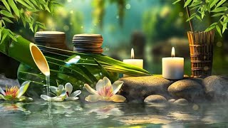 🔴 Relaxing Music 247 Stress Relief Music Sleep Music Meditation Music Study Calming Music [upl. by Neiviv]