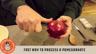 Fast Way to Process a Pomegranate [upl. by Tivad]