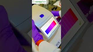 Polymerase chain reaction PCR Amplification genomics [upl. by Schwitzer]