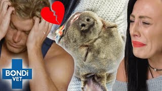 Heartbreaking Goodbyes Compilation💔😭  Bondi Vet Compilation  Bondi Vet [upl. by Sumetra]