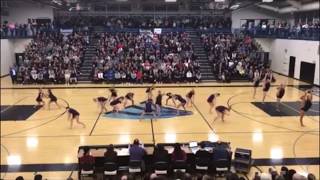 Miss Dance Team Minnesota 20192020  MADT All State Performance [upl. by Snevets]