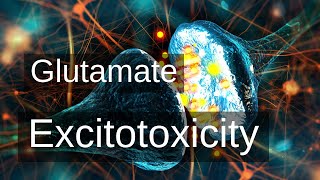 Glutamate Excitotoxicity and its Detrimental Effect on Mental Health [upl. by Eneleahcim997]