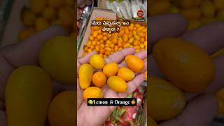 మీరు ఎప్పుడన్నా ఇవి తిన్నారా kumquat canada india ytshorts [upl. by Moyna30]