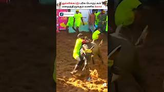 Jallikattu Winners Prize Brands Strategies shorts jallikattu alanganallur [upl. by Oir]