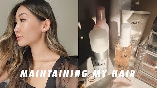 HOW I MAINTAIN BALAYAGEFOILYAGE HAIR  my color and cut tips products I use [upl. by Swan931]