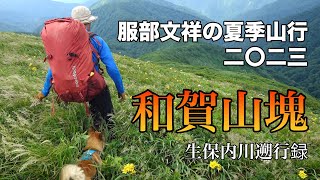 サバイバル登山家・服部文祥の夏季山行録 二〇二三 ー和賀山塊・生保内川ー [upl. by Mou]