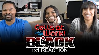 Cells at Work Code Black 1x1 The Beginning of the End  GROUP REACTION [upl. by Daj743]