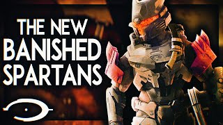 The Lore Of The NEW BANISHED SPARTANS And My Thoughts [upl. by Jolynn56]