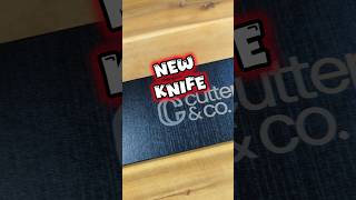 NEW CHEFS KNIFE 🔪 cooking budgetcooking knifereview food chickenroast [upl. by Agnew699]