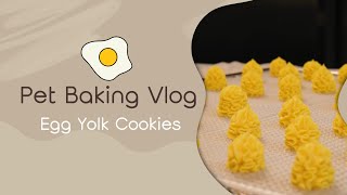 Egg Yolk Cookies  3 Ingredients DIY Homemade Dog Treats Recipe [upl. by Fortunato]