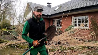 Kustorez Pampas Grass removal [upl. by Edric145]