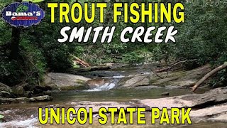 TROUT FISHING GEORGIAS SMITH CREEKUNICOI STATE PARK CREEK FISHING ADVENTURE [upl. by Ebony]