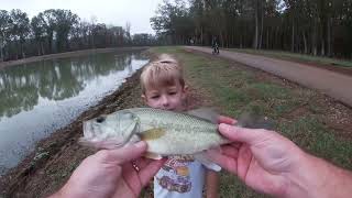 Fishing for bass in North Alabama Huntsville pond [upl. by Ettegirb908]