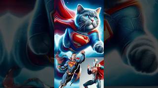 Superheroes Reimagined as Cats 🐱🦸‍♂️  Marvel amp DC Feline Transformations shorts superheroes [upl. by Imeka]