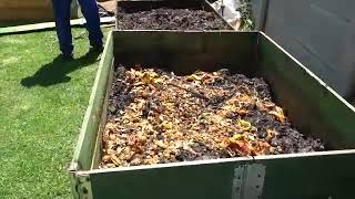 Bokashi composting made simple [upl. by Enilecram566]