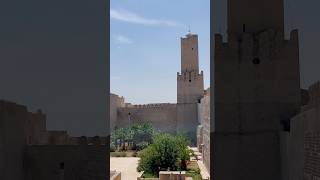 Sousse lighthouse with soaring Lanner Falcon view  Falco biarmicus  Birding Tunisia 🇹🇳 [upl. by Laucsap119]