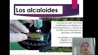 ALCALOIDES Y AMINAS BIOLOGICAS EN NUESTRO CUERPO [upl. by Barbara]