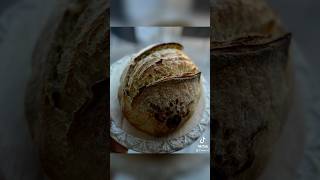 Today’s Bread sourdoughbread food cooking [upl. by Esereht]