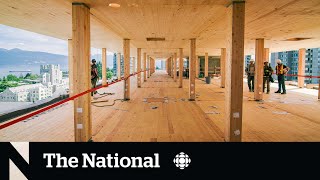 Growing push to construct more buildings in Canada out of wood [upl. by Trixi596]