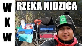 Wędkarstwo Kazimierza Wielka rzeka Nidzica [upl. by Neddy]