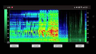 una cara en el espectrograma warning def1ne [upl. by Enineg523]