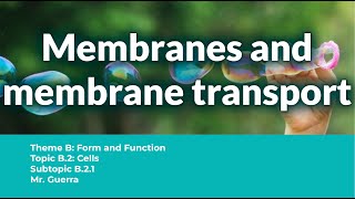 B21 Membranes and membrane transport  IB Biology SL NEW SYLLABUS First assessment 2025 [upl. by Anidene539]