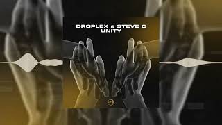 Droplex amp Steve C  Unity Official Audio [upl. by Sanalda]