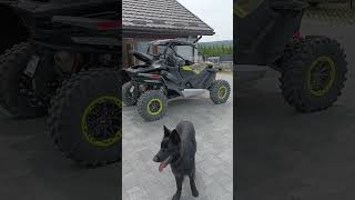 Cf Moto ZForce 1000 Sport R vs ZForce 950 Sport 🔥 dealercfmoto utv ssv offroad 4x4 cfmoto [upl. by Friedrick]