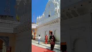 jageshwar dham 🙏🙏🌸🌸jageshwar bholenath mahadev shortvideo [upl. by Aihsenor]