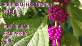 Making Beautyberry Wine At Home [upl. by Luane829]