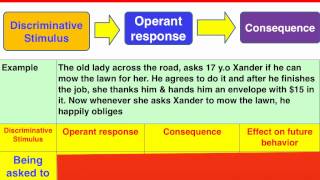 3 phase Operant Conditioning model  VCE Psychology [upl. by Asined182]